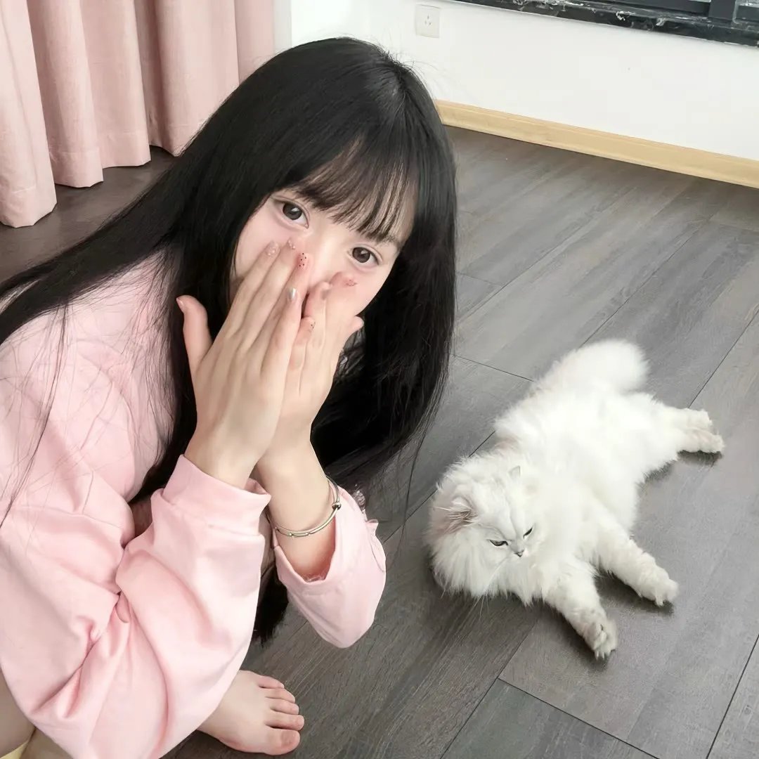 乱世王妃的锦绣路