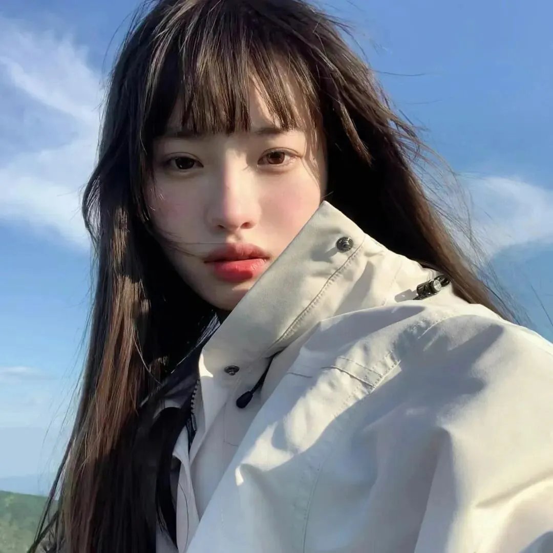虎鲨在行动